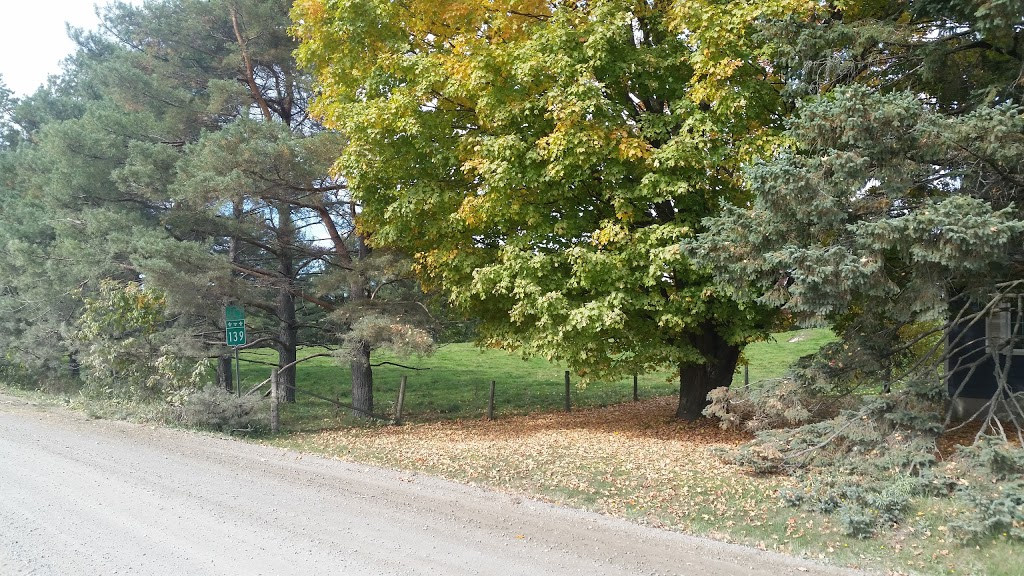 Shadypath Farm | 19 Chemin Soles, West Brome, QC J0E 2P0, Canada | Phone: (450) 263-7137
