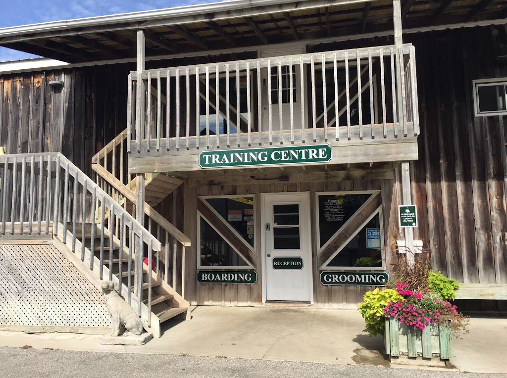 Country Club For Pets Ltd | 21690 Clarke Rd, Arva, ON N0M 1C0, Canada | Phone: (519) 461-1340