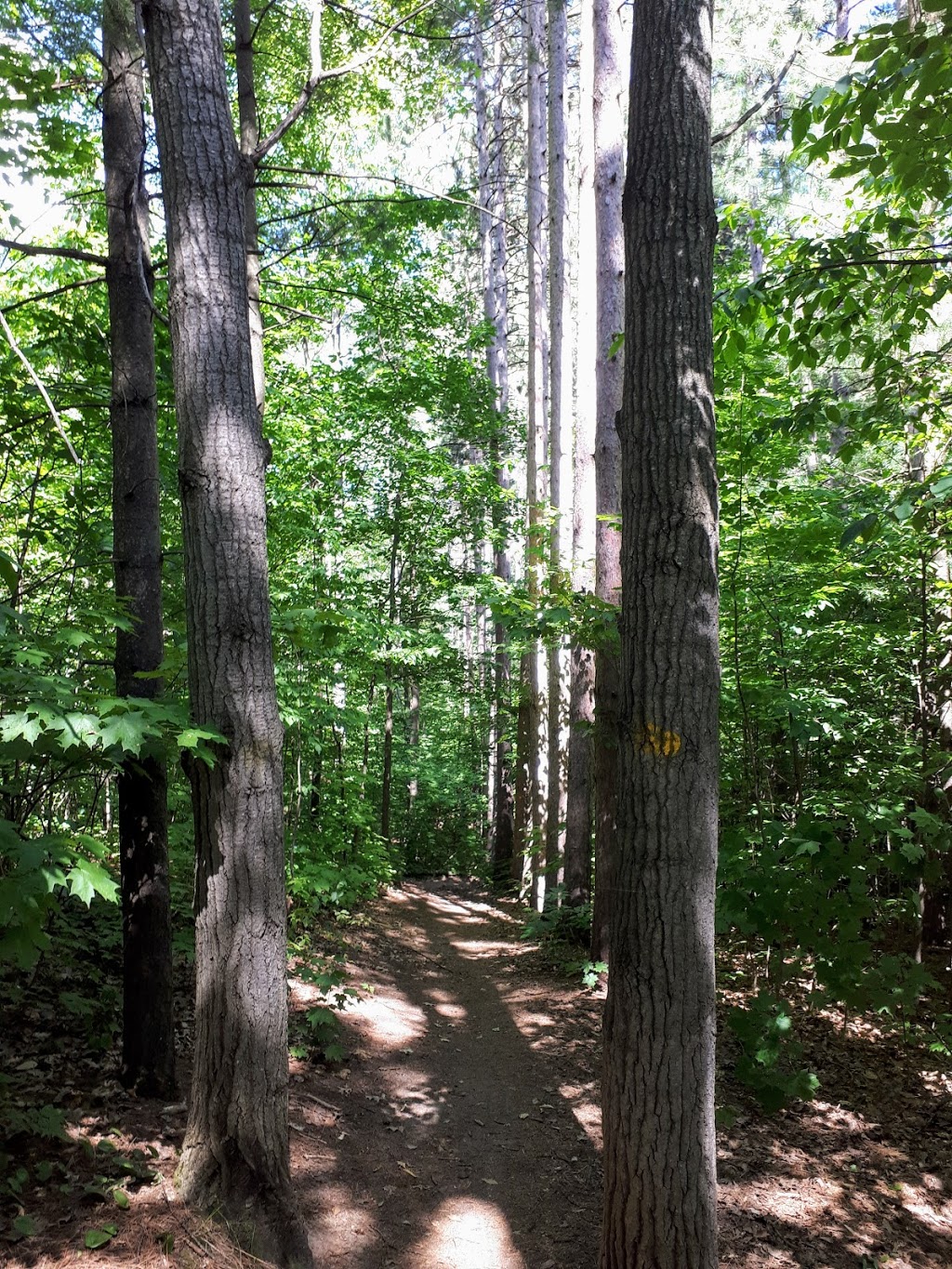 Harvie Park | 265 Harvie Rd, Barrie, ON L4N 8J5, Canada | Phone: (705) 424-7049