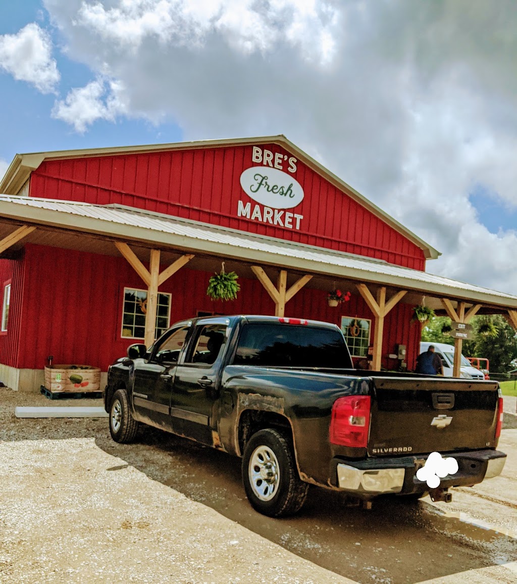 Bres Fresh Market | 224276 Ostrander Rd, Tillsonburg, ON N4G 4H1, Canada | Phone: (519) 983-3924