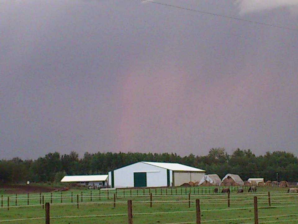 Devon Ridge Farms | 51108 Range Rd 272, Spruce Grove, AB T7Y 1H5, Canada | Phone: (780) 902-1954