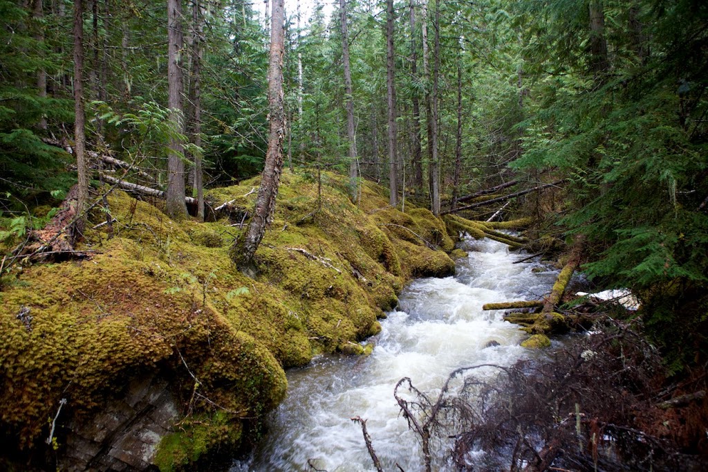 Gold Panner Campground | 423 B Highway 6, Cherryville, BC V0E 2G3, Canada | Phone: (250) 463-4653