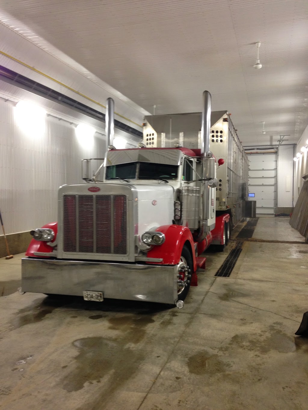 Warner Wash n Dry | 8976 Widder Rd, Thedford, ON N0M 2N0, Canada | Phone: (519) 899-2185
