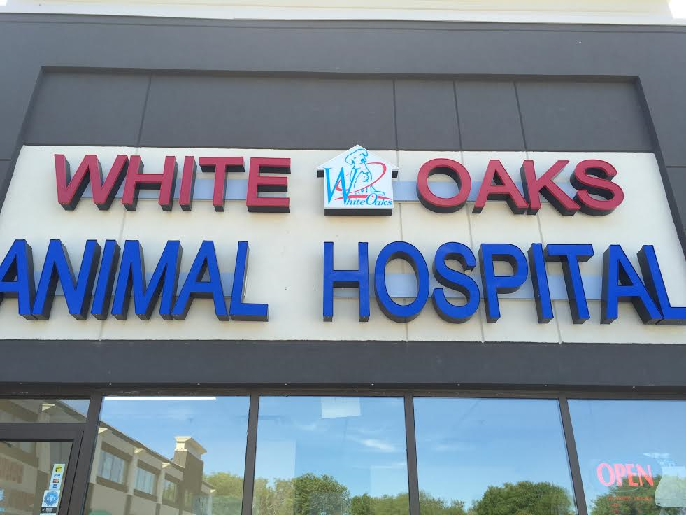 White Oaks Animal Hospital | 965 Dundas St W, Whitby, ON L1P 1G8, Canada | Phone: (905) 444-9995