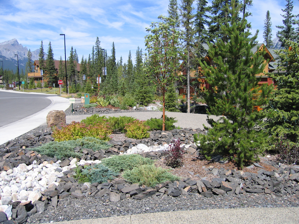 Larix Landscape | 460 Dupplin Rd, Victoria, BC V8Z 1B9, Canada | Phone: (778) 401-0806