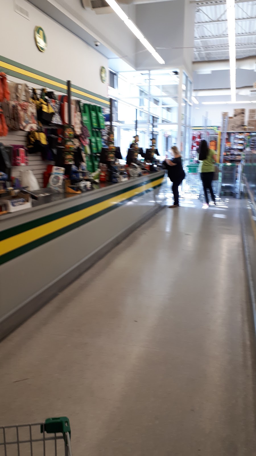 Dollarama | 1267 Barton St E, Hamilton, ON L8H 2V4, Canada | Phone: (905) 667-0720