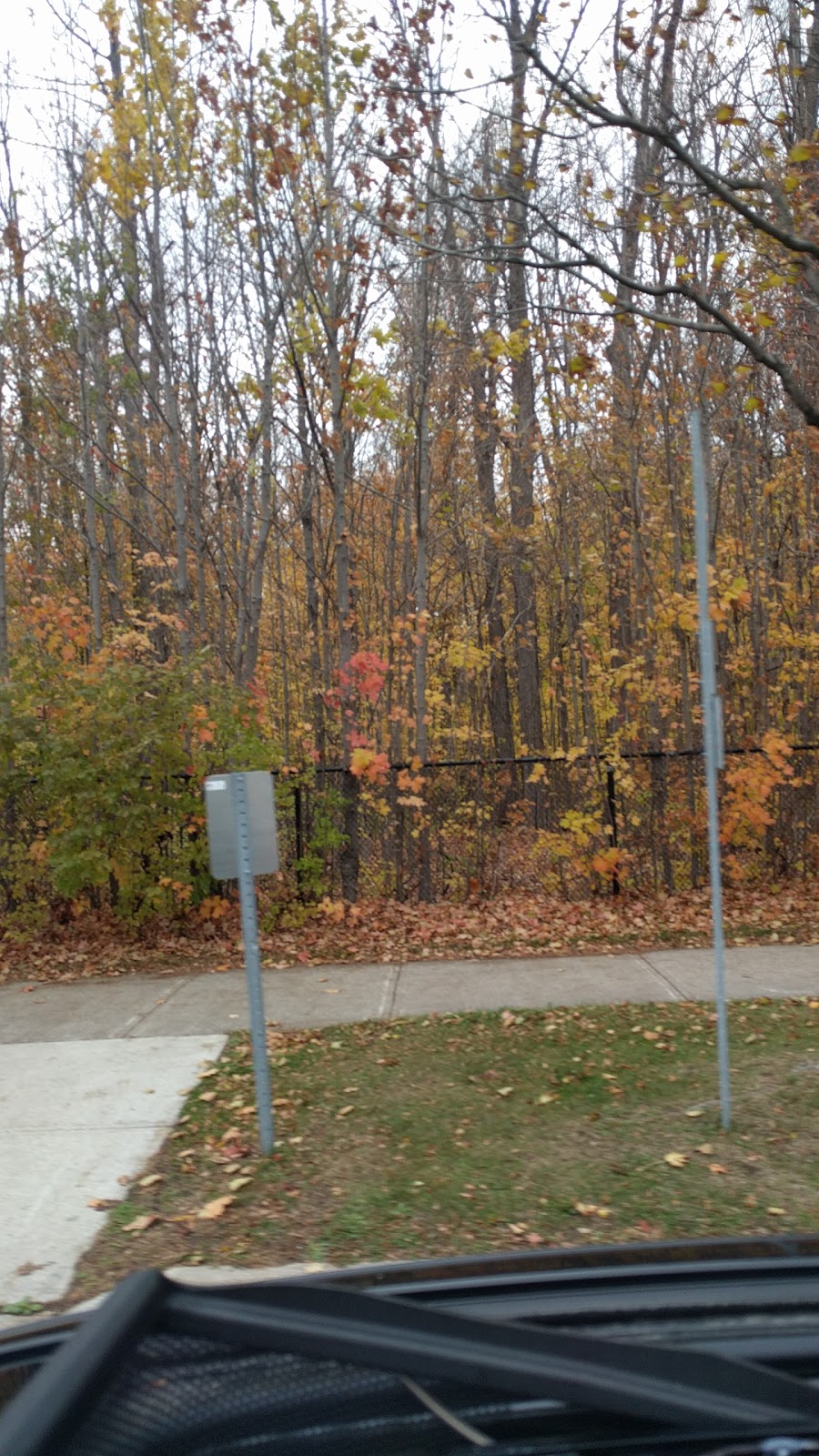 Frank Robson Woodlot | 68 Empress Rd, Maple, ON L6A 1V1, Canada