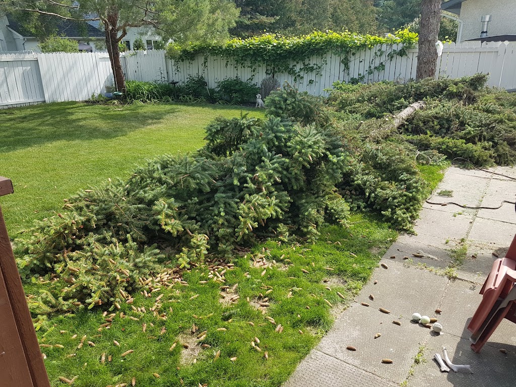 Kildonan Tree Service Ltd | 275 Transport Rd, Oakbank, MB R0E 1J3, Canada | Phone: (204) 233-9337