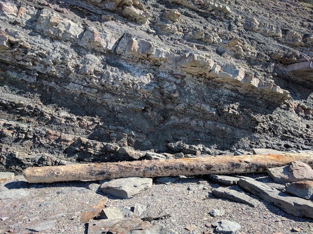 Joggins Fossil Cliffs | 100 Main St, Joggins, NS B0L 1A0, Canada | Phone: (902) 251-2727