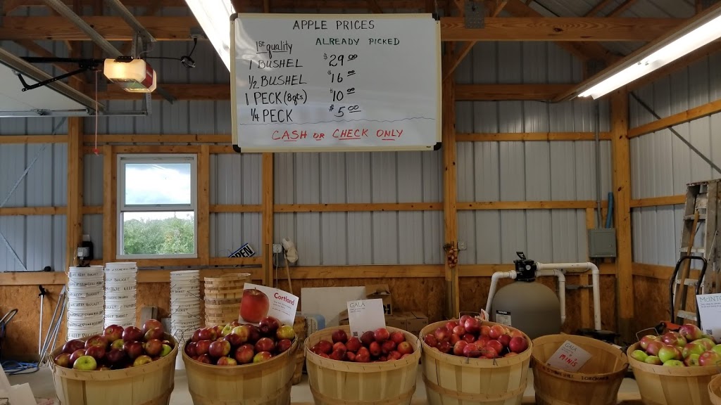Stonehill Orchard | 2356 Shirley Rd, North Collins, NY 14111, USA | Phone: (716) 337-2380