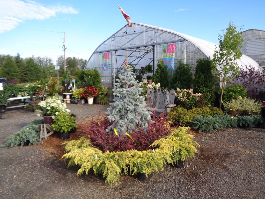 Azilda Greenhouses | 300 Carriere St, Azilda, ON P0M 1B0, Canada | Phone: (705) 983-5252