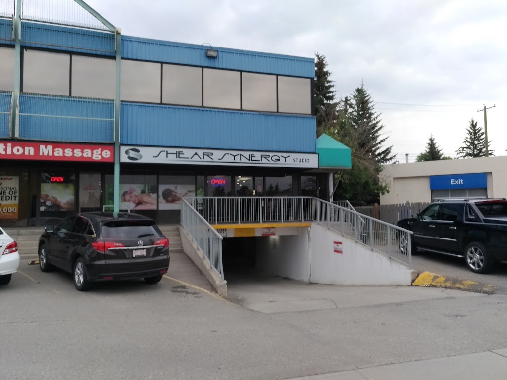 Shear Synergy Studio | 222 16 Ave NE #15, Calgary, AB T2E 1J8, Canada | Phone: (403) 698-1136