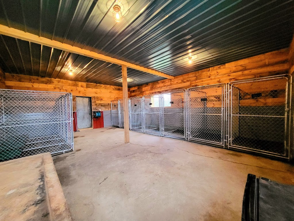 Creekside Kennels | 2878 ON-60, Township Of Horton, ON K7V 3Z6, Canada | Phone: (613) 570-4328