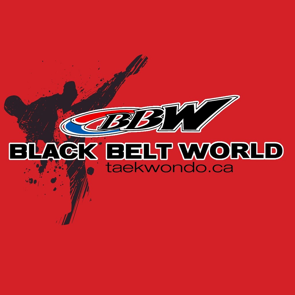 Black Belt World Orangeville | 25 Centennial Rd, Orangeville, ON L9W 1R1, Canada | Phone: (519) 938-5388