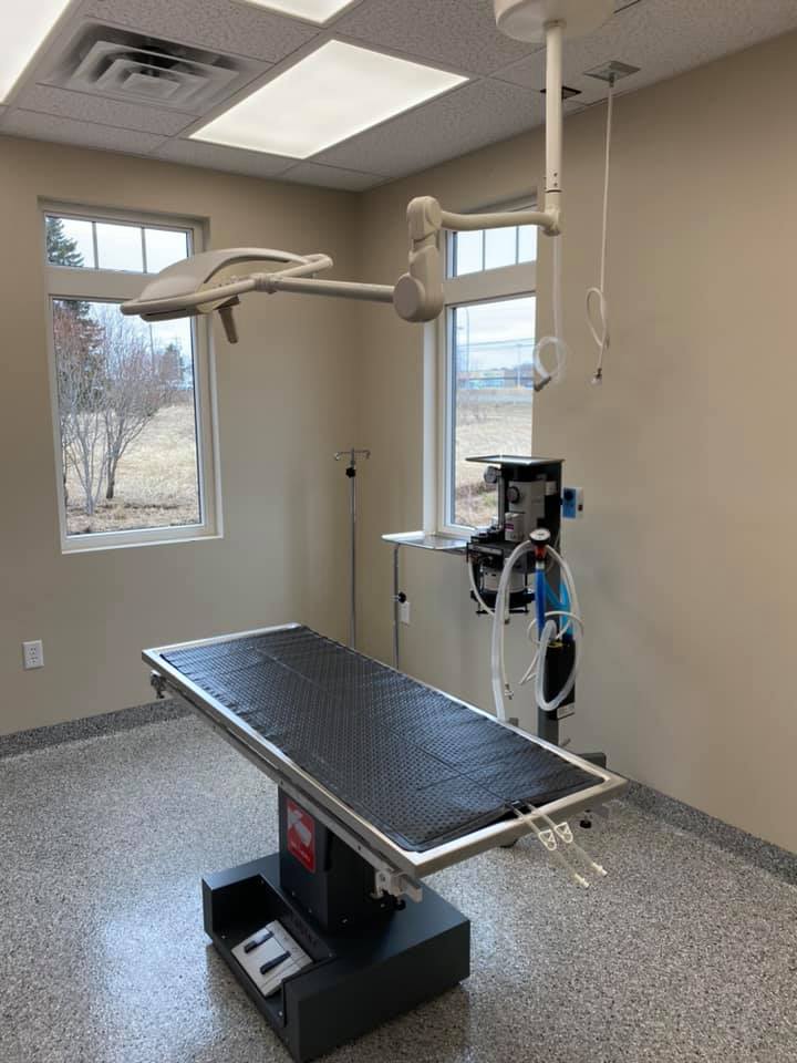 Cumberland County Animal Hospital | 16 Lord Amherst Dr, Amherst, NS B4H 4W6, Canada | Phone: (902) 612-2520