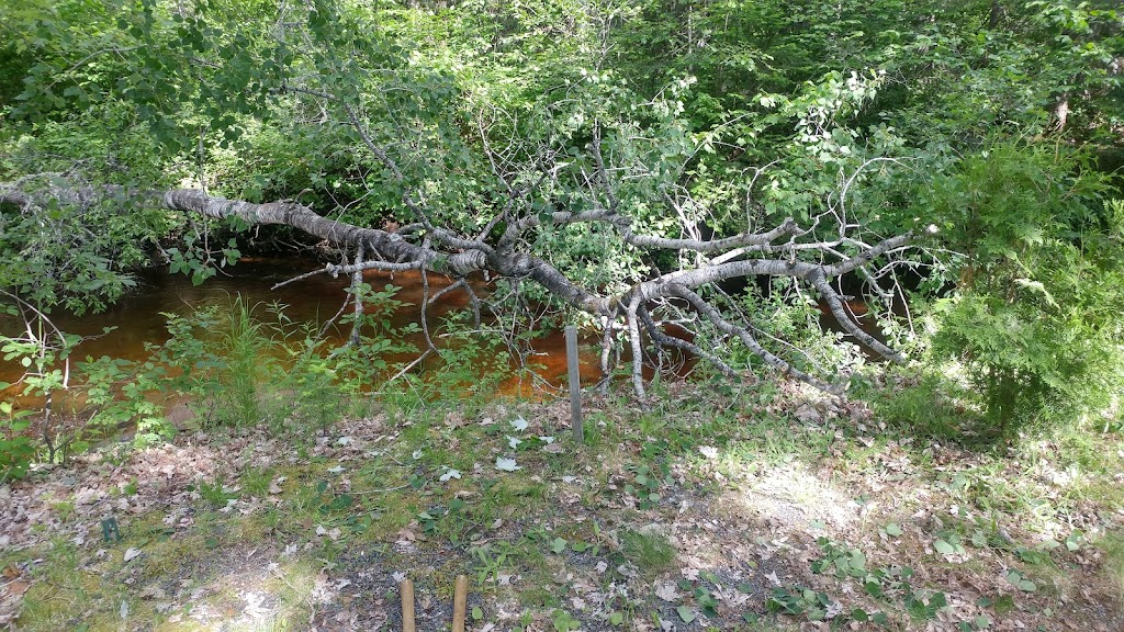 Camping Domaine Lemieux | 2605 Rue Principale, Labrecque, QC G0W 2S0, Canada | Phone: (418) 481-2442