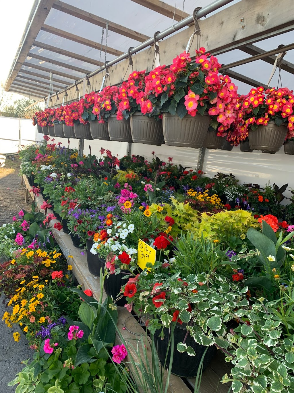 Denise & Sylvain Garden Centre | 767 Notre Dame St, Embrun, ON K0A 1W1, Canada | Phone: (613) 677-1052