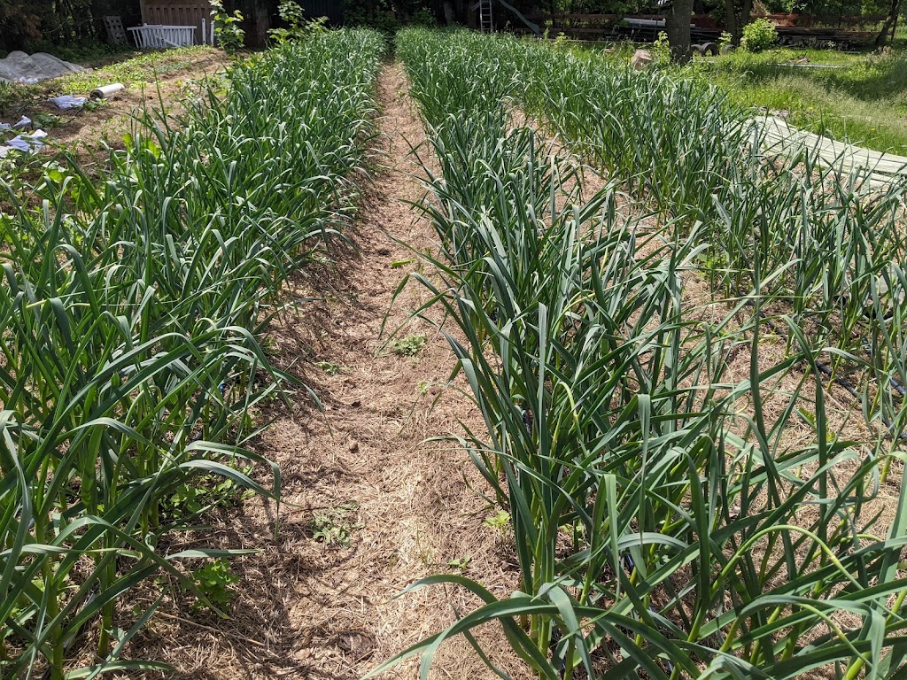 Les Jardins Épicuriens | 1320 Rang Papineau, Saint-Paul-dAbbotsford, QC J0E 1A0, Canada | Phone: (579) 361-3561