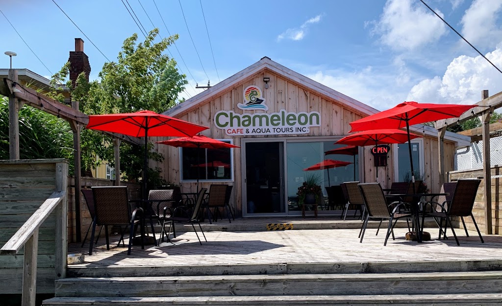 Chameleon Cafe & Aqua Tours Inc. | 93 Cedar Dr Unit 1, Turkey Point, ON N0E 1T0, Canada | Phone: (226) 534-9624