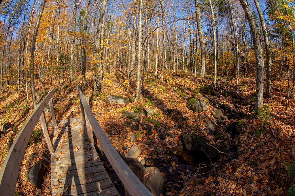 Sentier des Pionniers | 45 Chemin Cambria, Gore, QC J0V 1K0, Canada