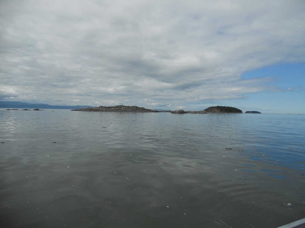 Excursions de la Providence | Av. LeBlanc, Kamouraska, QC G0L 1M0, Canada | Phone: (418) 551-5708