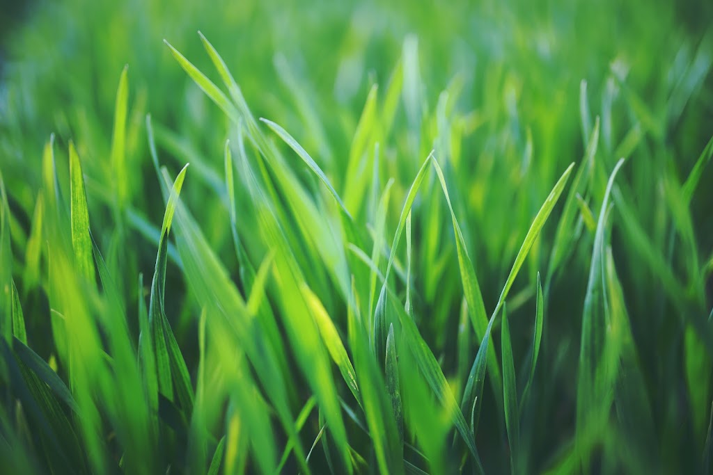 Orleans Landscaping Guys | 500 Canteval Terrace Unit 106, Orléans, ON K4A 2E8, Canada | Phone: (613) 927-9647