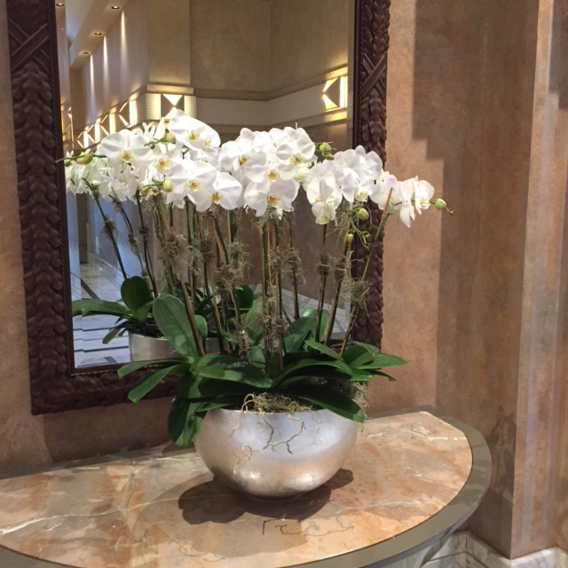 Edgewood Florist | 675 Rue Notre Dame, Lachine, QC H8S 2B3, Canada | Phone: (514) 484-2333