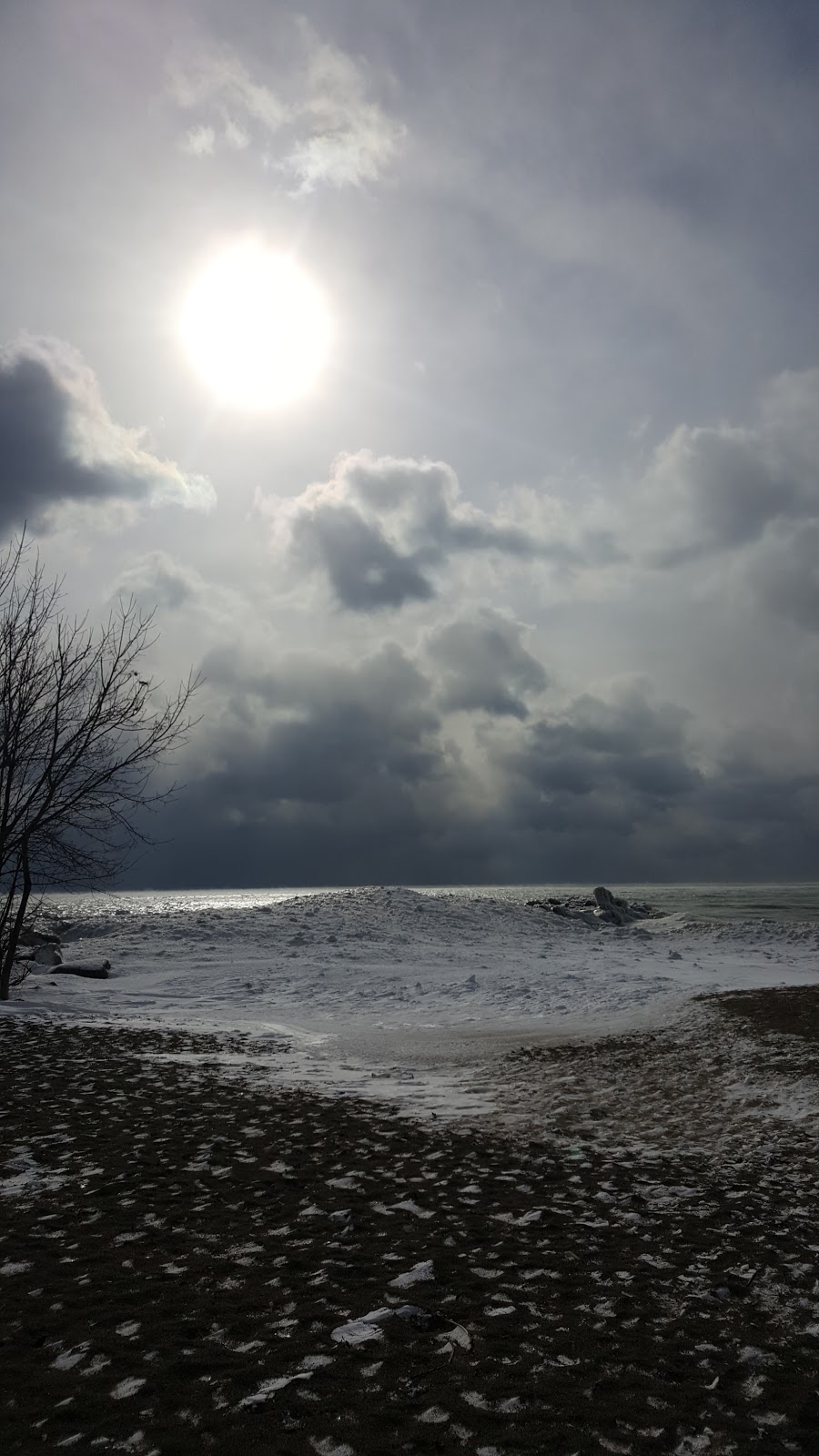 Beaches Hangout | Martin Goodman Trail, Toronto, ON M4L 1B8, Canada