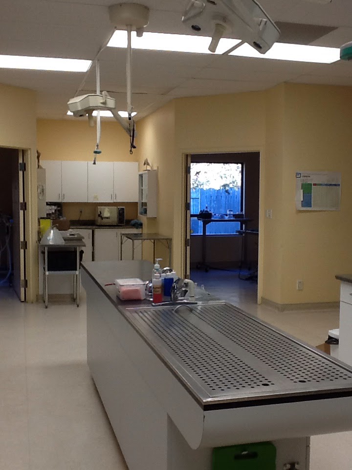 Loyalist Veterinary Hospital | 360 Bell Blvd, Belleville, ON K8P 5H8, Canada | Phone: (613) 966-2519