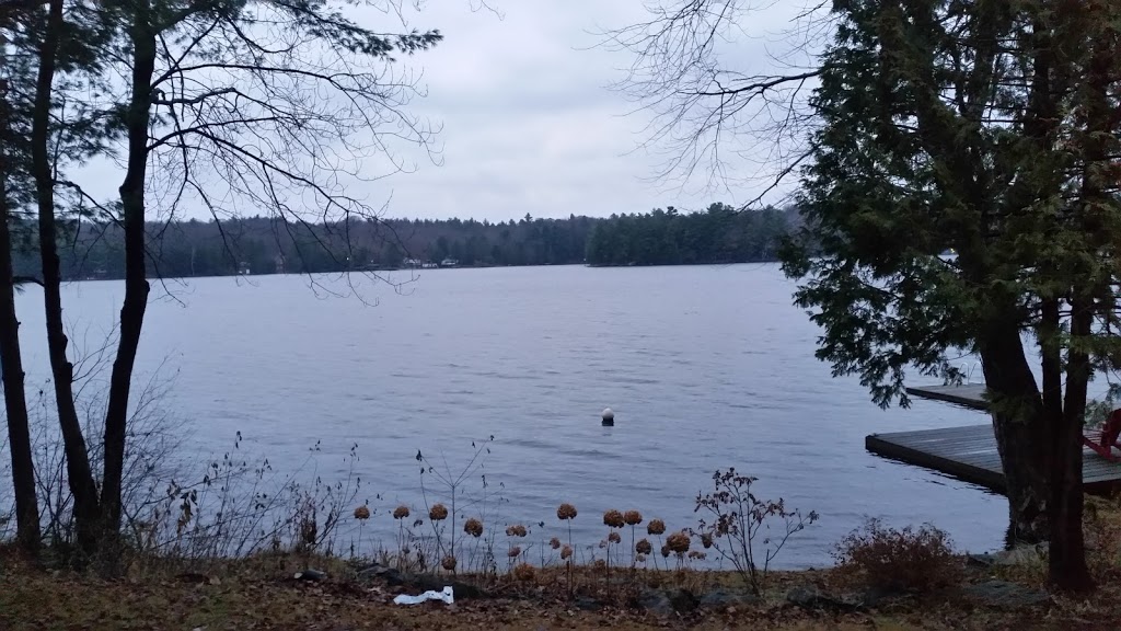 Global | 4000 Muskoka District Road 169, Port Carling, ON P0B 1J0, Canada | Phone: (705) 765-3251
