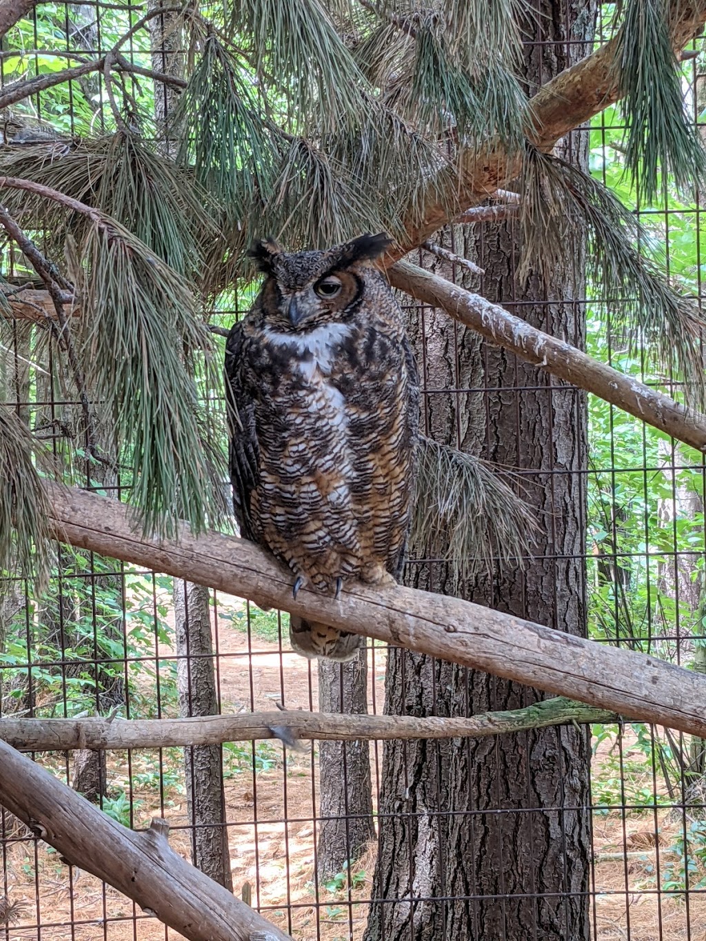 Oaklawn Farm Zoo | 1007 Ward Rd, Aylesford, NS B0P 1C0, Canada | Phone: (902) 847-9790
