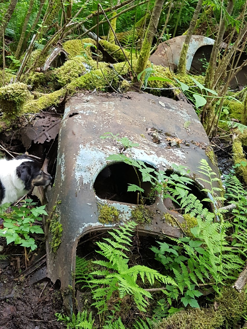 Francis/King Regional Park | Munn Rd, Saanich, BC V9E 1H7, Canada | Phone: (250) 360-3000