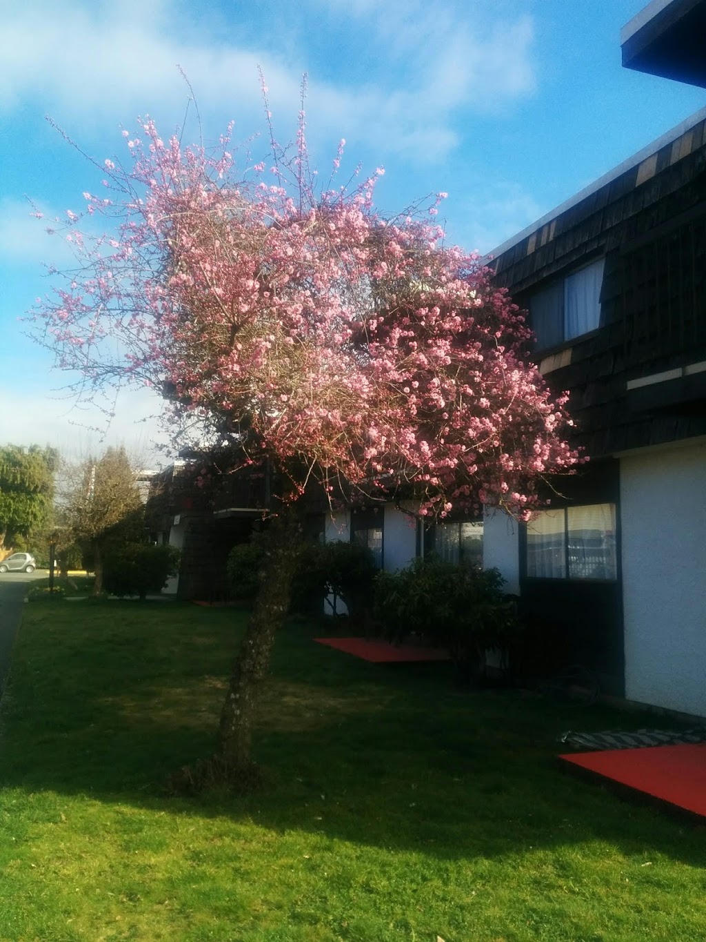 Rosedale Manor | 2520 Alexander St, Duncan, BC V9L 2W9, Canada | Phone: (250) 746-7082