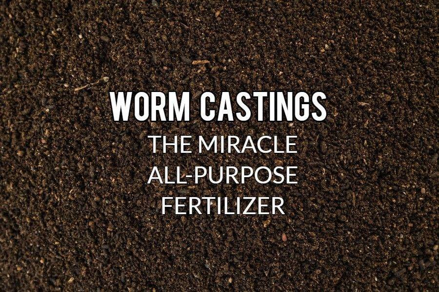 JLM Farms | 272 Ketchum Rd, Lower Norton, NB E5N 7V6, Canada | Phone: (506) 229-3755
