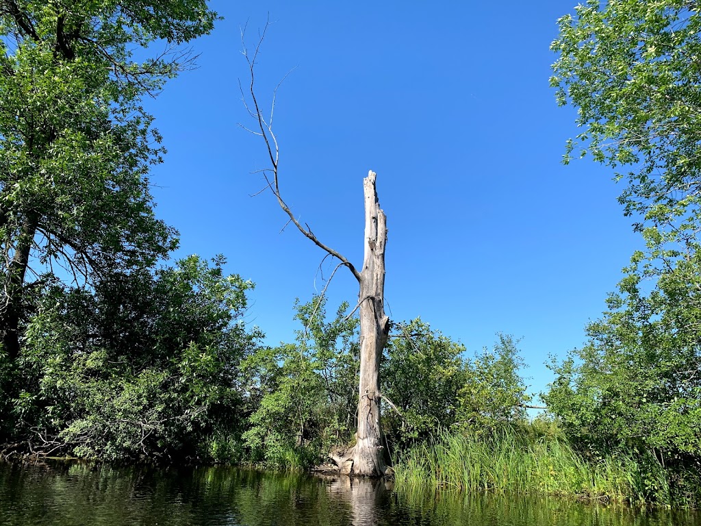 Up River Rentals | 5-269 Upper Scotch Line, Perth, ON K7H 3C5, Canada | Phone: (613) 439-1688