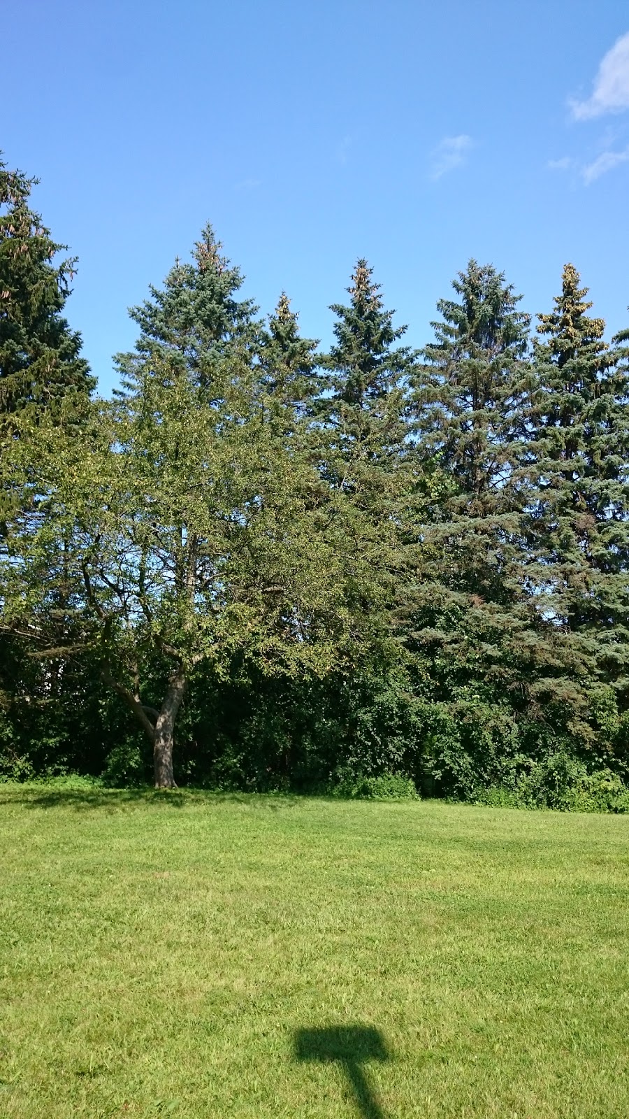 Fairfield Park | 49 Appleford St, Gloucester, ON K1J 6T6, Canada