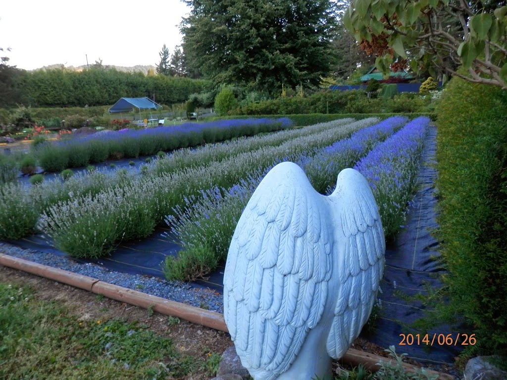 Happy Valley Lavender & Herbs | 3505 Happy Valley Rd, Victoria, BC V9C 2Y2, Canada | Phone: (250) 474-5767