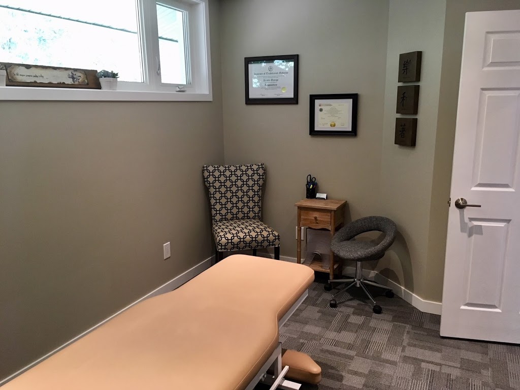 Krista George Registered Acupuncturist | 75 Grandview Dr, Conestogo, ON N0B 1N0, Canada | Phone: (519) 572-1115