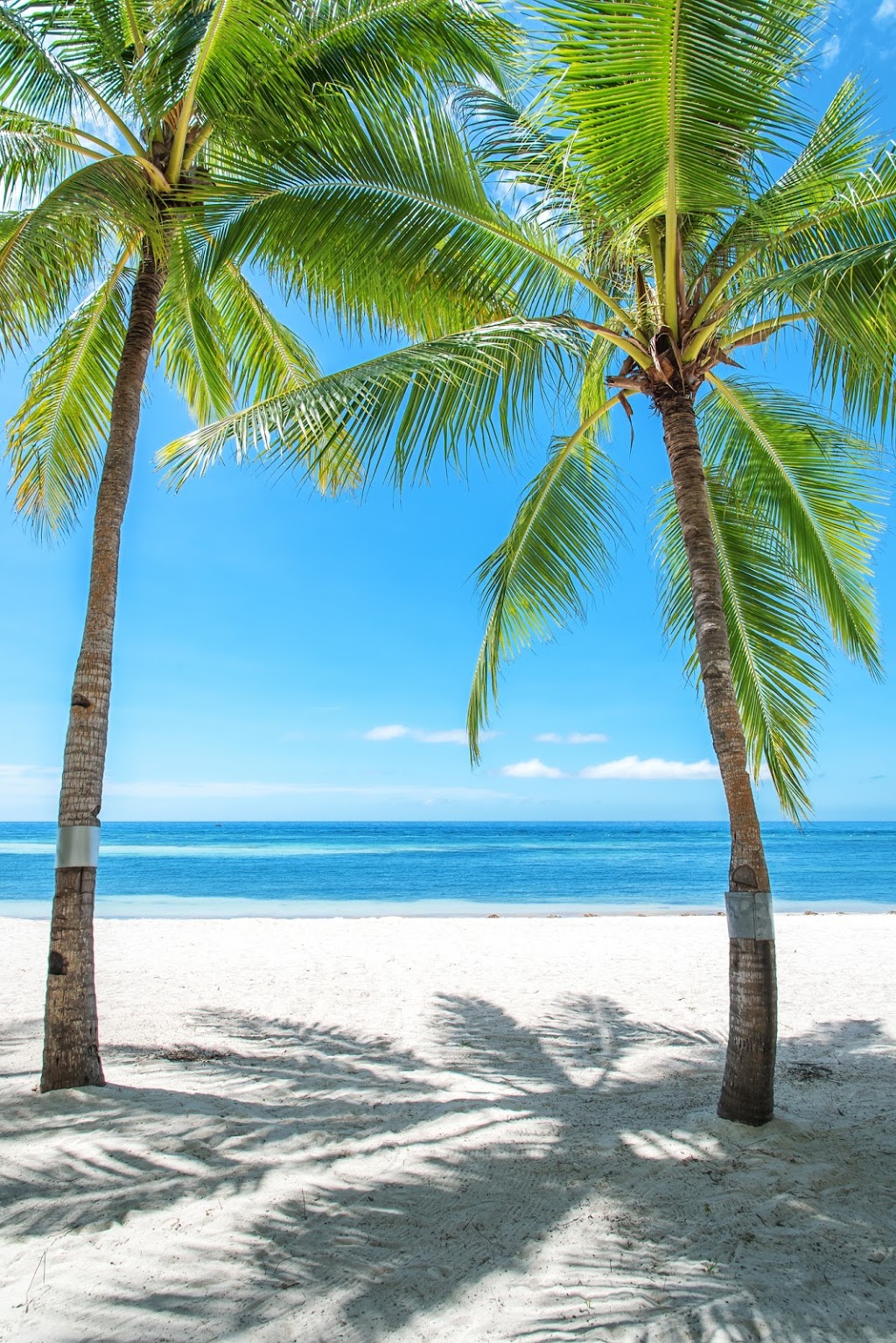 Maritime Travel | 149 Scurfield Blvd, Winnipeg, MB R3Y 1L6, Canada | Phone: (204) 943-6224