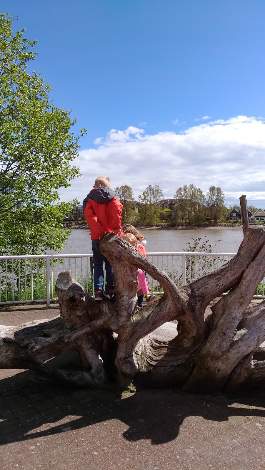 Quayside Dog Area | 6P2, 3 Rialto Ct, New Westminster, BC V3M 6P2, Canada