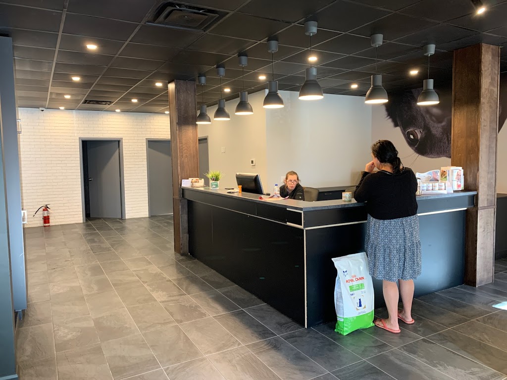 Clinique Vétérinaire Waterloo Inc. | 4900 Rue Foster Suite 100, Waterloo, QC J0E 2N0, Canada | Phone: (450) 539-3366