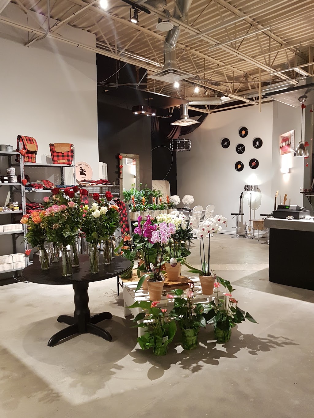 Fleuriste Tes Fleurs | 1275 Boulevard Lemire B, Drummondville, QC J2C 7X9, Canada | Phone: (819) 850-9666