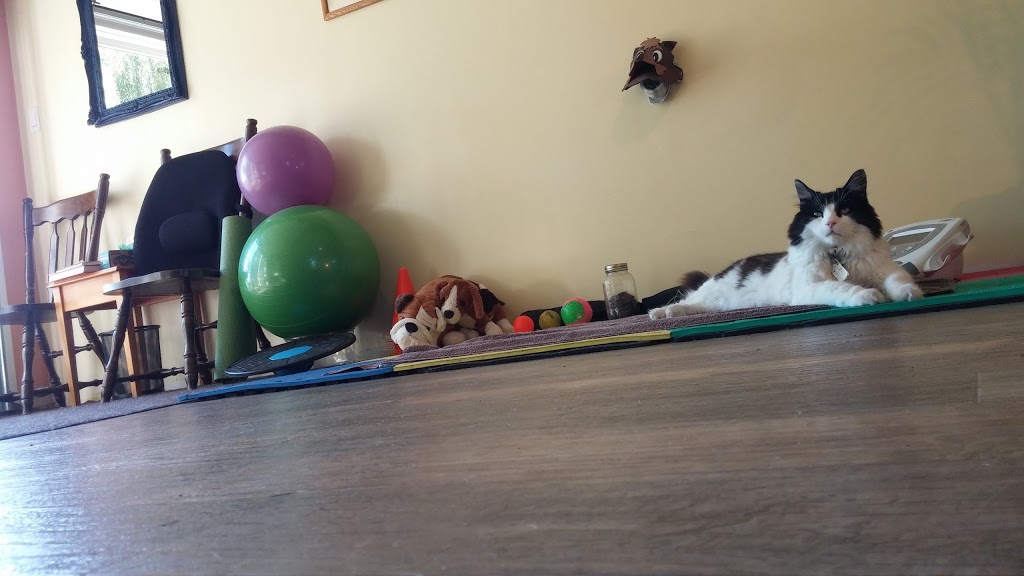 Companion Rehabilitation Clinic (By Appointment only) | 646 ON-6, Caledonia, ON N3W 1M6, Canada | Phone: (905) 920-5543