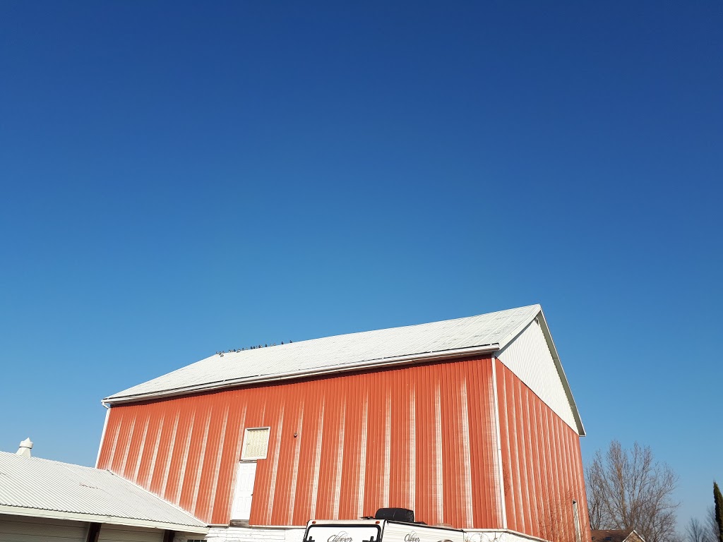 Golden Paws Pet Place | 19126 Centreville Creek Rd, Caledon East, ON L7K 2N1, Canada | Phone: (905) 584-8465
