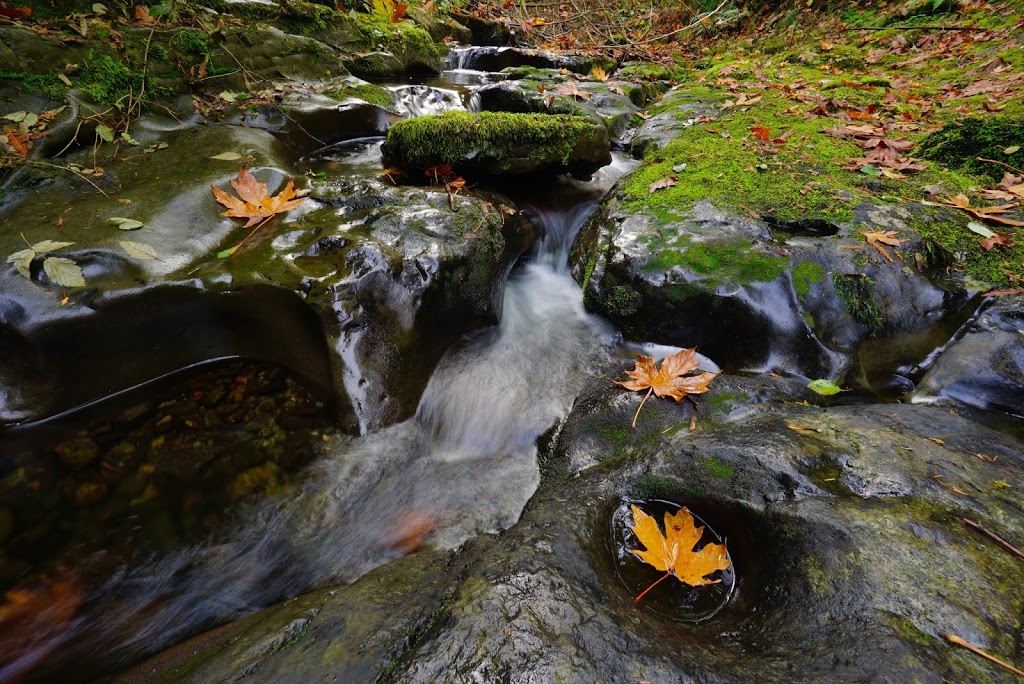 Stocking Creek Park | 2A7, Trans Canada Trail, Ladysmith, BC V9G 2A4, Canada