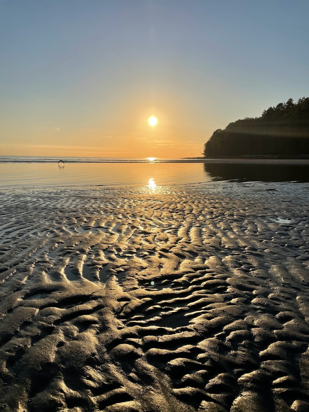 Engles Nest Lodge | 6374 Icarus Dr, Nanaimo, BC V9V 1N4, Canada | Phone: (204) 963-7893