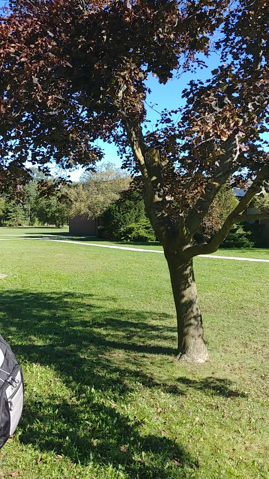 Lorne Park Secondary School | 1324 Lorne Park Rd, Mississauga, ON L5H 3B1, Canada | Phone: (905) 278-6177