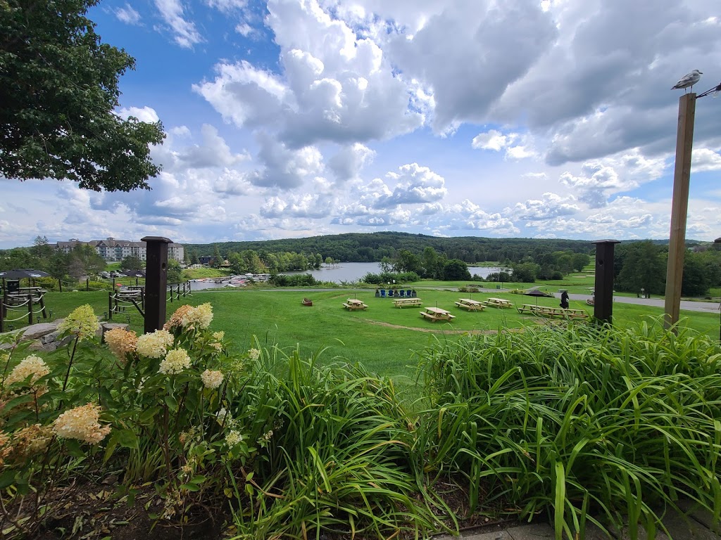 Maple Pub & Patio | 1235 Deerhurst Dr, Huntsville, ON P1H 2E8, Canada | Phone: (705) 789-6411
