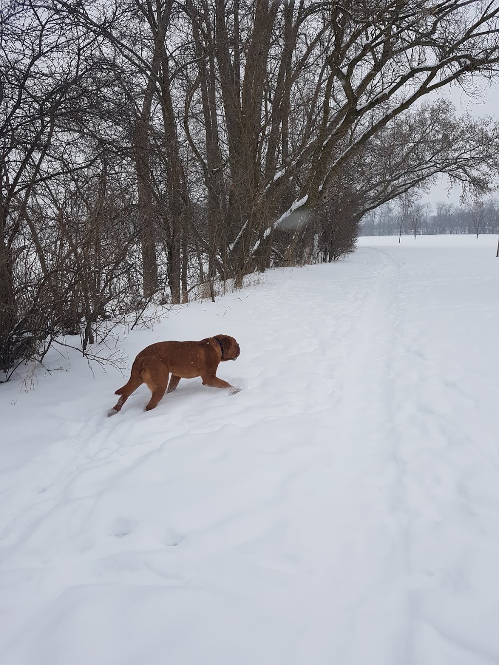 DAubigny Creek Park | Brantford, ON N3T, Canada | Phone: (519) 756-1500