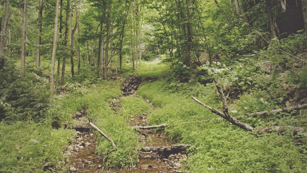 Culcherd | 228 Canarctic Dr, North York, ON M3J 2P4, Canada | Phone: (416) 837-3384